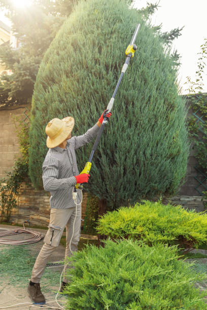 Best Leaf Removal  in Granite Bay, CA